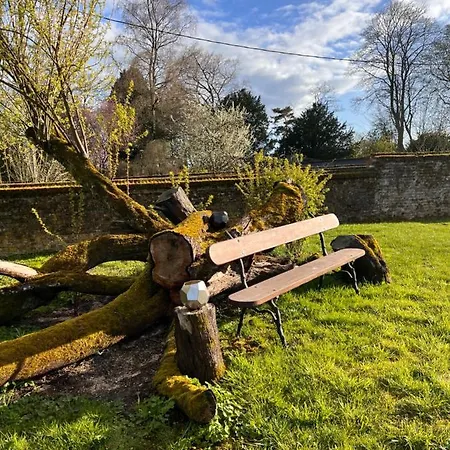 Domaine Des Anges Bed & Breakfast Avesnes-sur-Helpe Exterior photo
